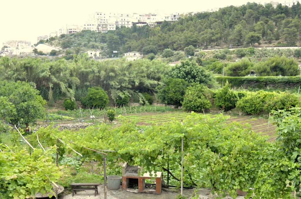 Casa Vacanze Villa Francesca Peschici Εξωτερικό φωτογραφία